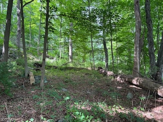 300 Alphano Rd, Hackettstown, NJ 07840