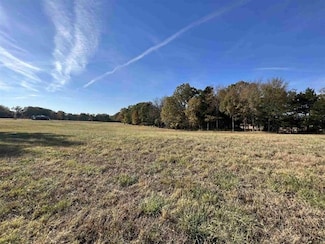 0 +-6 Acres Gadsden Todd Levee Unit 241321, Humboldt, TN 38343