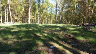 0 Gravely Hill Rd Unit 325772, Ripplemead, VA 24150