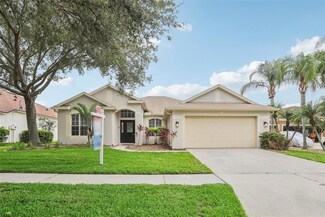 11609 Jordans Landing Ct, Riverview, FL 33569