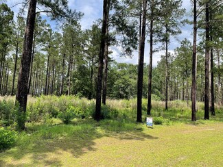 4.01 Ac Pine Ridge Dr, Claxton, GA 30417