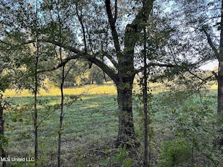 Lot C Swamp Rd, Carthage, MS 39051