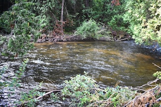 8993 S Straits Hwy, Wolverine, MI 49799