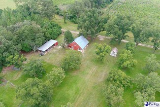 2843 Lee State Park Rd, Bishopville, SC 29010