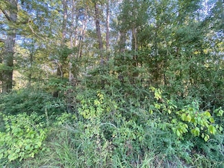 R47770 Pine Straw Ln, Huntington, TX 75949