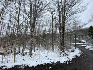 59 Slopeside Rd, Davis, WV 26260