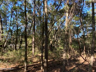 Tbd Capers Island Cir, St. Helena Island, SC 29920