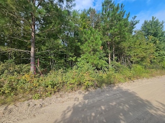 Tbd Roxborough Rd, Elloree, SC 29047