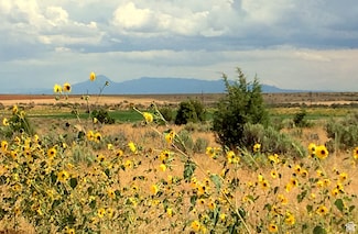 145 Avikan Hills Dr Unit 9, Blanding, UT 84511