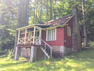 116 Dyer Rd, Cross Fork, PA 17729