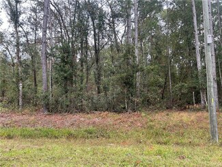 2137 Buck Swamp Rd, Brunswick, GA 31523
