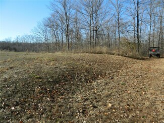 13607 Bullhead Ln Unit 19061622, Sedgewickville, MO 63781