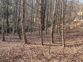 Tbd Brookside Tr, Fancy Gap, VA 24328