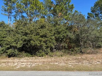 0 SW 65th Avenue Rd Unit 839631, Ocala, FL 34473
