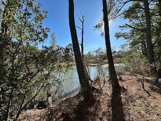 7539* Doe Bay Ln Unit 4*, Chincoteague, VA 23336