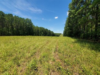 0 Silas Mercer Rd NE Unit 46672830, Crawfordville, GA 30631