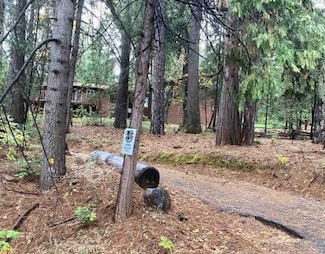 14669 Old Camptonvillle Rd, Camptonville, CA 95922