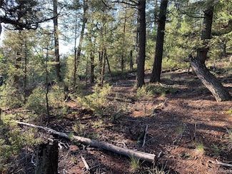 12907 S Cindy Ave, Pine Junction Area, CO 80470