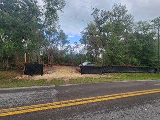 3919 E Orchid St, Hernando, FL 34442
