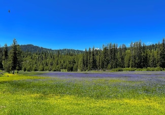 90 Ridgeview Rd, Donnelly, ID 83615