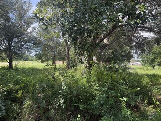 20704 Pearl St, Prairie View, TX 77446