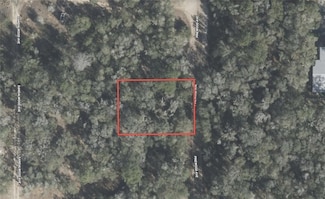 611 Pinewood Ave, Inverness, FL 34453