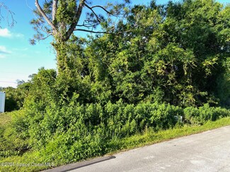 1428 Talavera St SE, Palm Bay, FL 32909