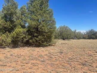 32970 Forest Ln, Seligman, AZ 86337