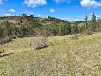 121 Ferguson Rd, Harpster, ID 83553