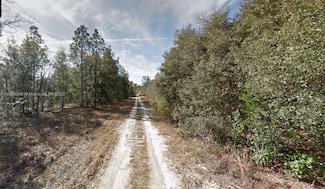 Lot 4 NE 156th Ct, Williston, FL 32696