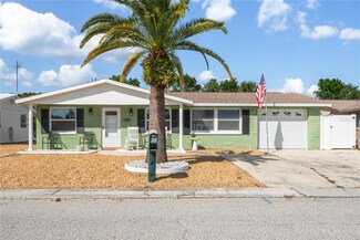 3423 Umber Rd, Holiday, FL 34691