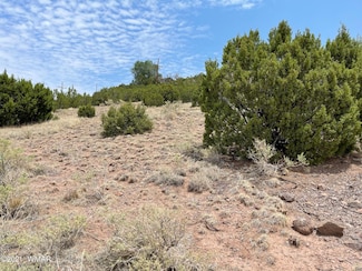0 Udall St, Eagar, AZ 85925