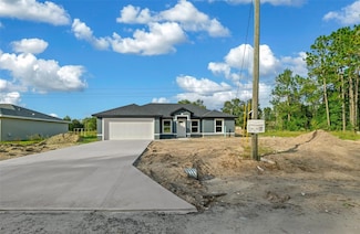 20 Bay Place Ct, Ocklawaha, FL 32179