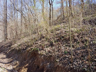 0 Birch Hollow Rd Unit 9 Phase 2 25015168, Stanton, KY 40312