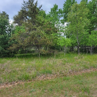 Lot 61 Otter Dr, St. Helen, MI 48656