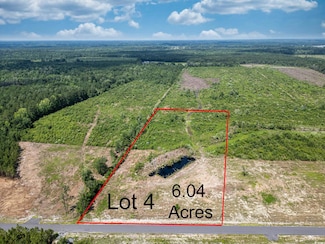 TBD Bellaire Dr Unit Lot 4, Nichols, SC 29581