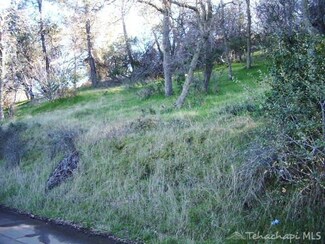 0 Clear Creek Rd Unit 9974226, Keene, CA 93531
