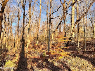 0 Snow Lake Dr, Snow Lake Shores, MS 38603