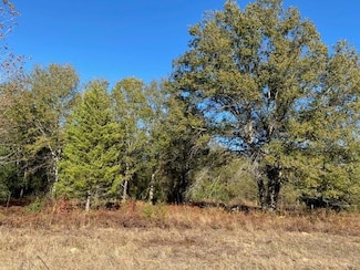 TR 3 Meadow Park, Athens, TX 75752