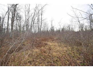 0 Cummings Rd, Dairyland, WI 54830