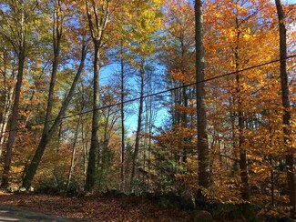 0 Newbury Rd Unit 4615884, Bradford, NH 03221