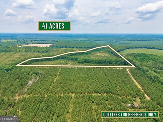 0 Tract 3 - Powell School Rd N Unit 10321717, Lumber, GA 31549