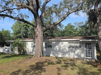 10010 N Lantana Ave, Tampa, FL 33612