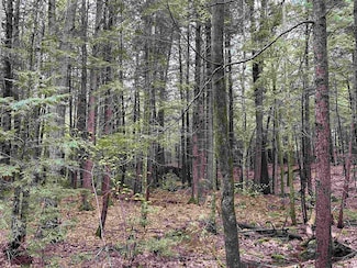 0 Pilothouse Rd, New London, NH 03257