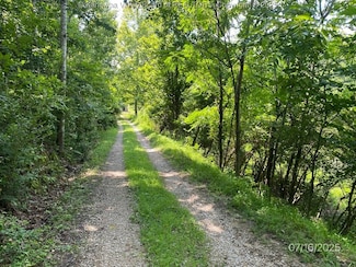 1232 Left Fork Joels Branch Rd, Genoa, WV 25517