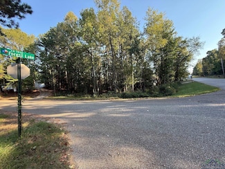 387 Hillshore Cir, Longview, TX 75605