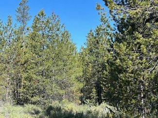 0 Forest Service Rd Unit 220201887, Gilchrist, OR 97737