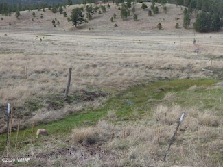 Lot 21 the Ranch at Alpine, Alpine, AZ 85920