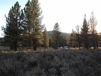 9970 Dixie Valley Rd, Chilcoot, CA 96105