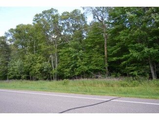 0 Lot 1 320th St Unit 4661561, Cushing, MN 56443